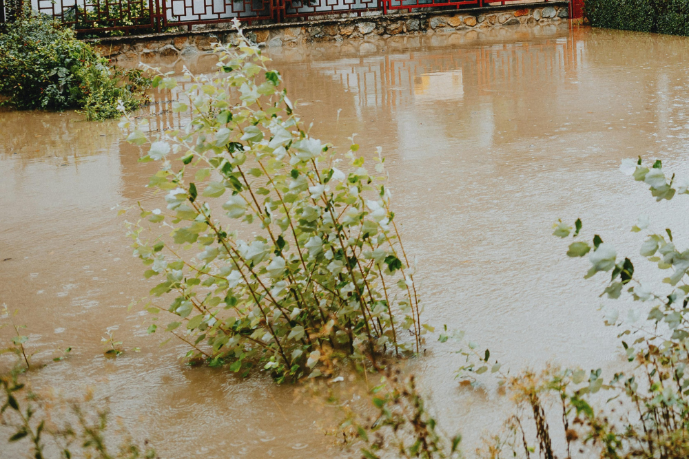 Rio Grande avança no combate às mudanças climáticas com novo Plano Municipal